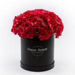 פרחי סבון שחור-בריח ורדים